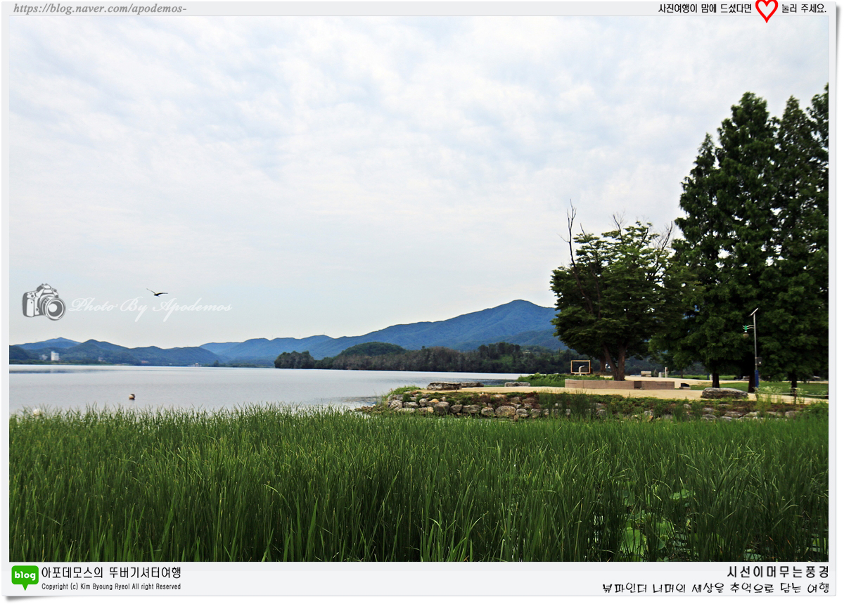 Post image 17
