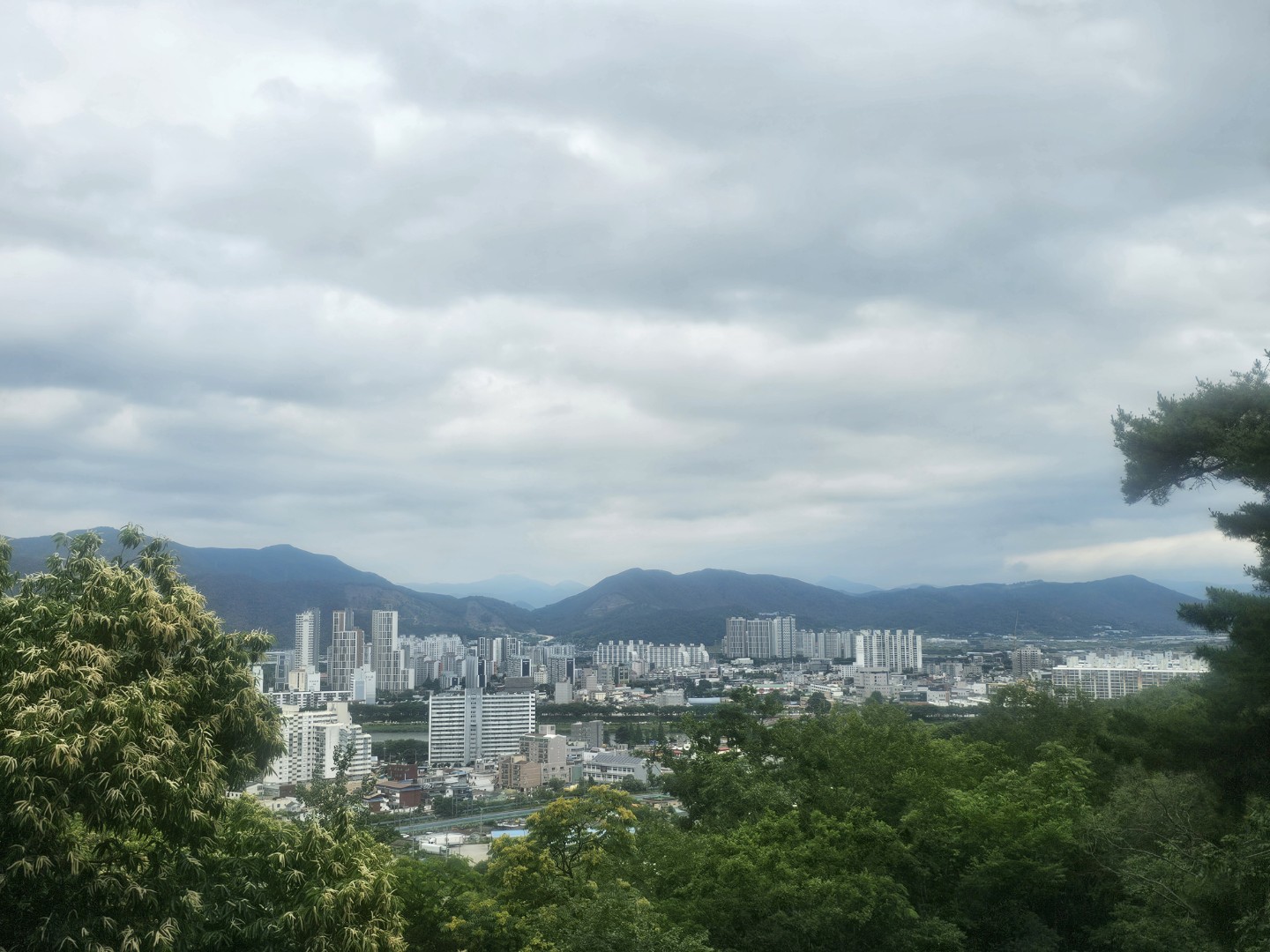 Post image 5