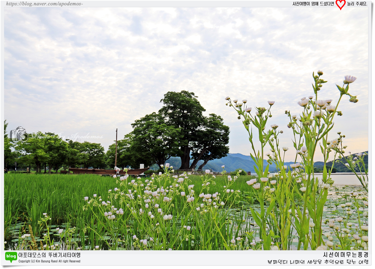 Post image 12