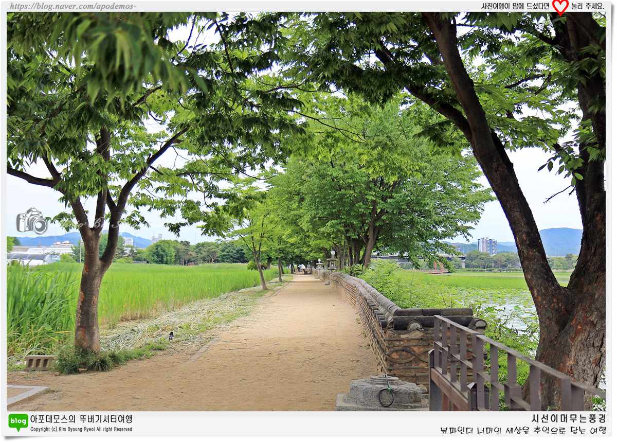 Post image 19