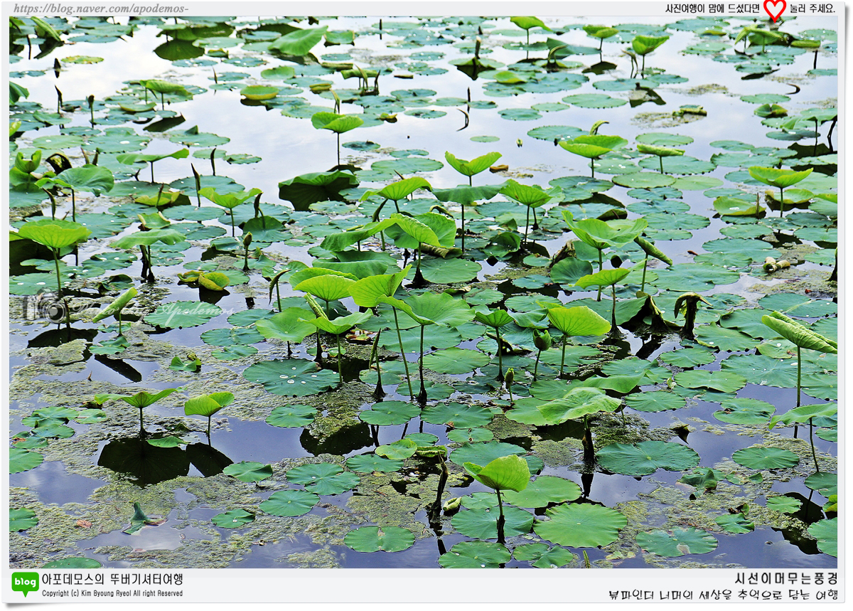 Post image 21