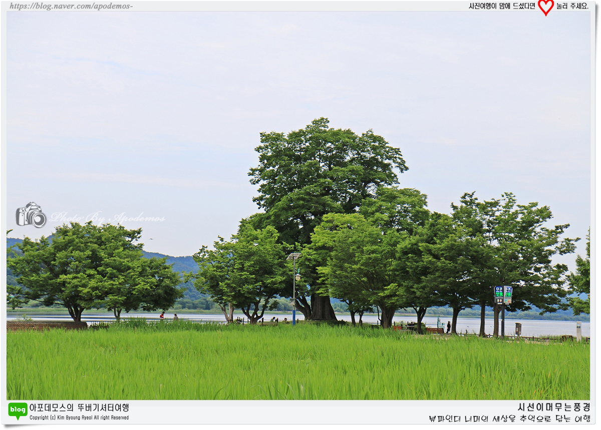 Post image 13
