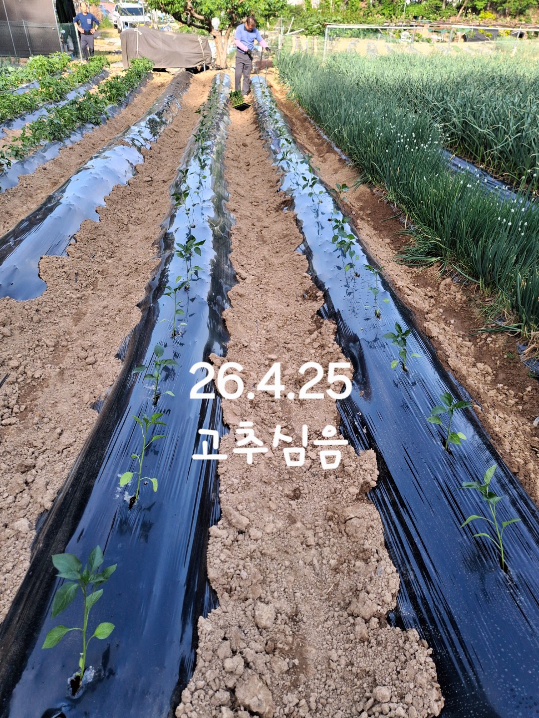 Post image 3