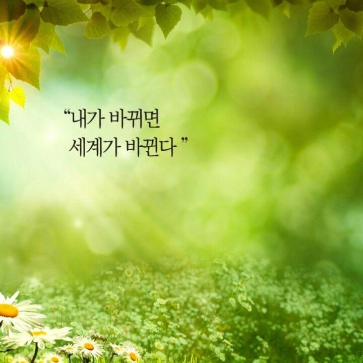 Post image 14