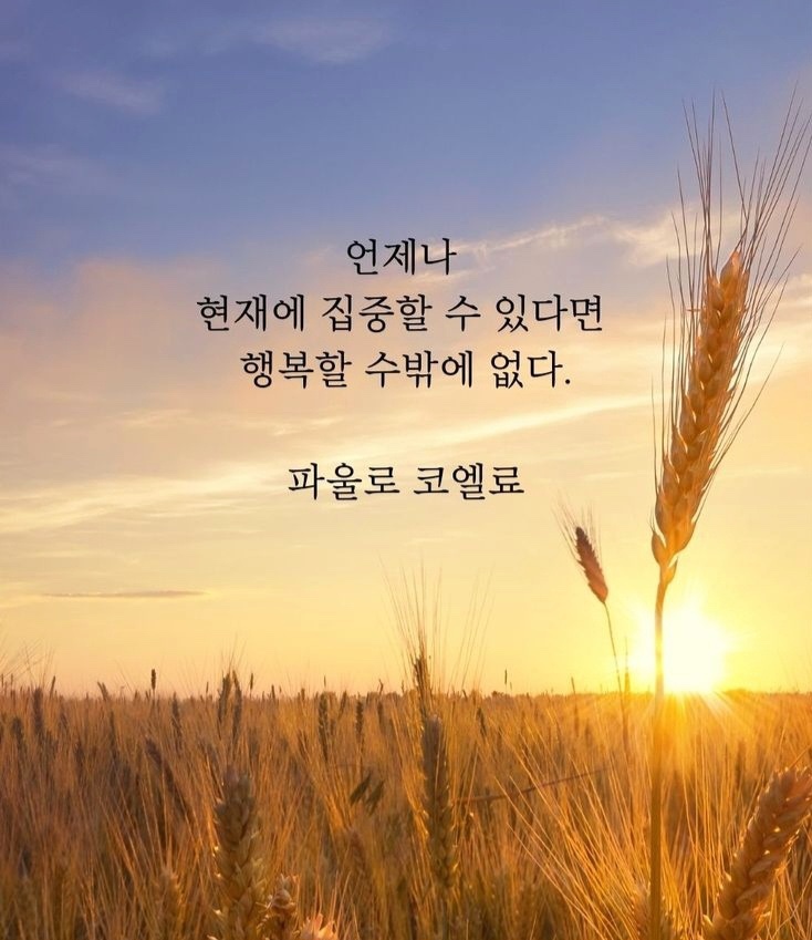 Post image 13