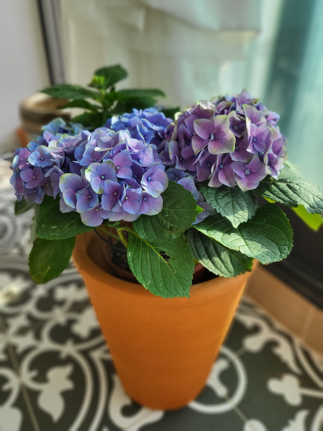 Post image 2