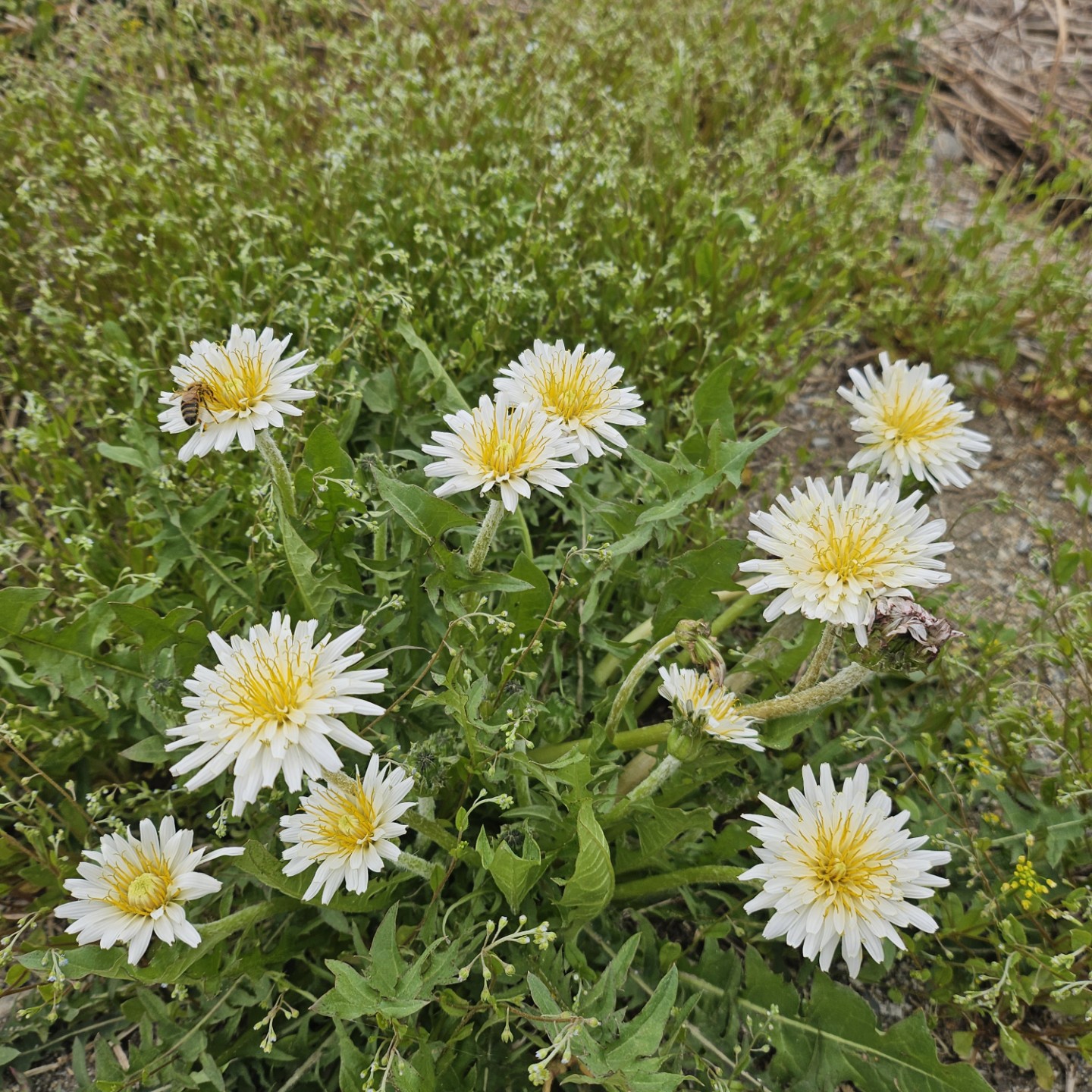 Post image 2