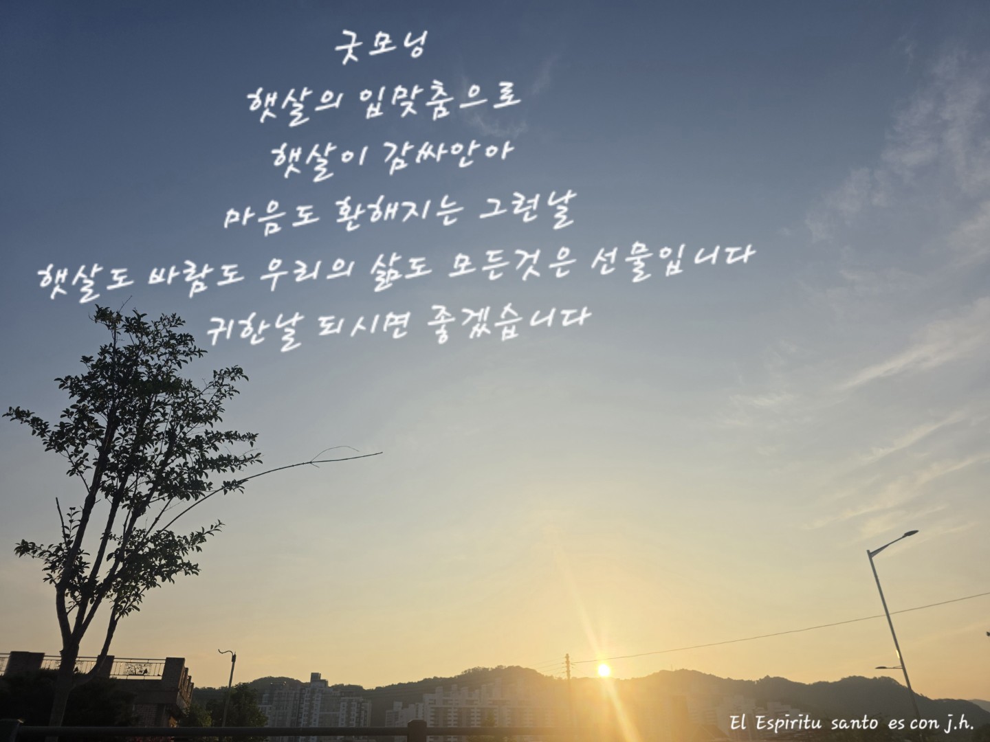 Post image 6