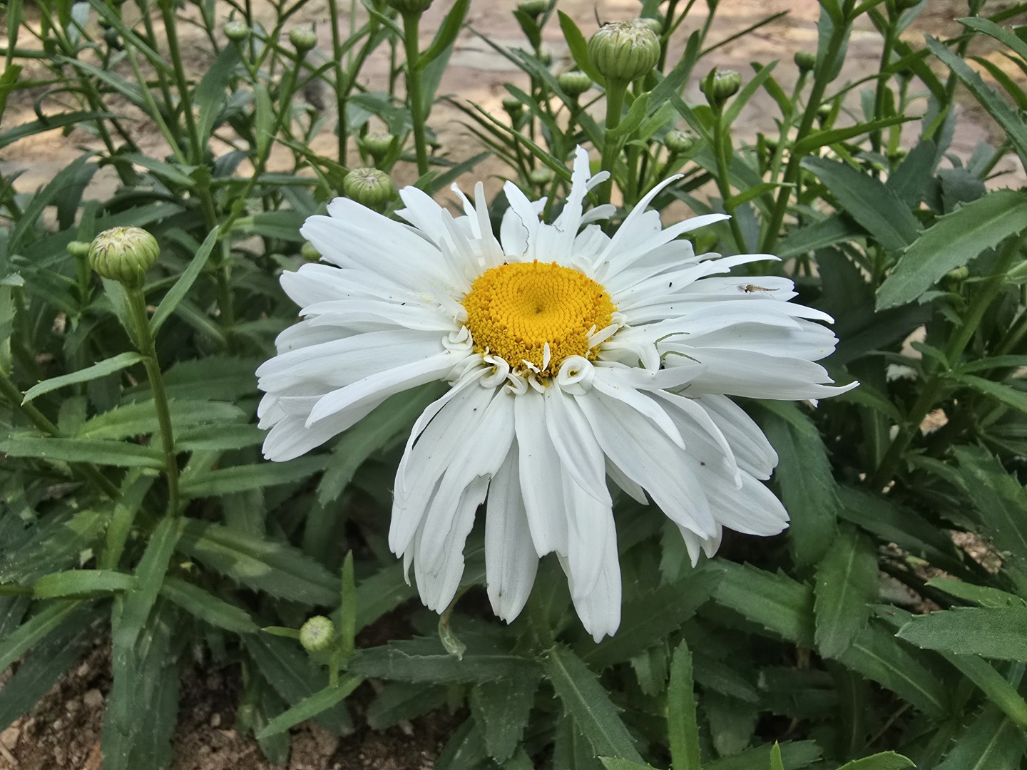 Post image 9
