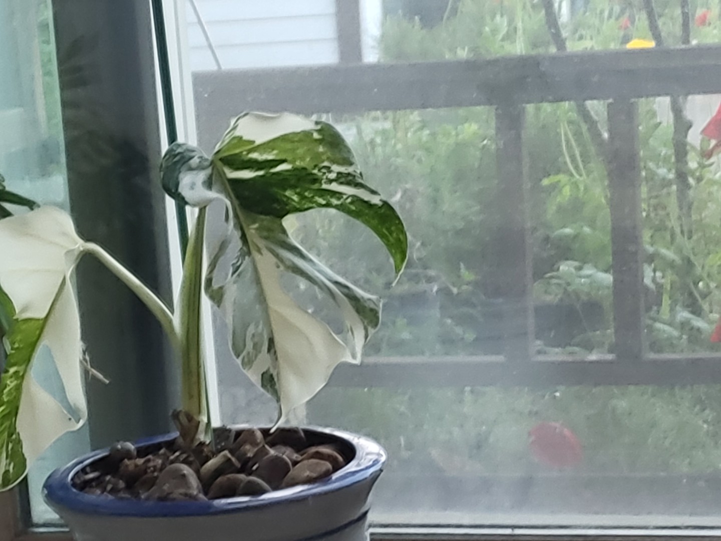 Post image 2