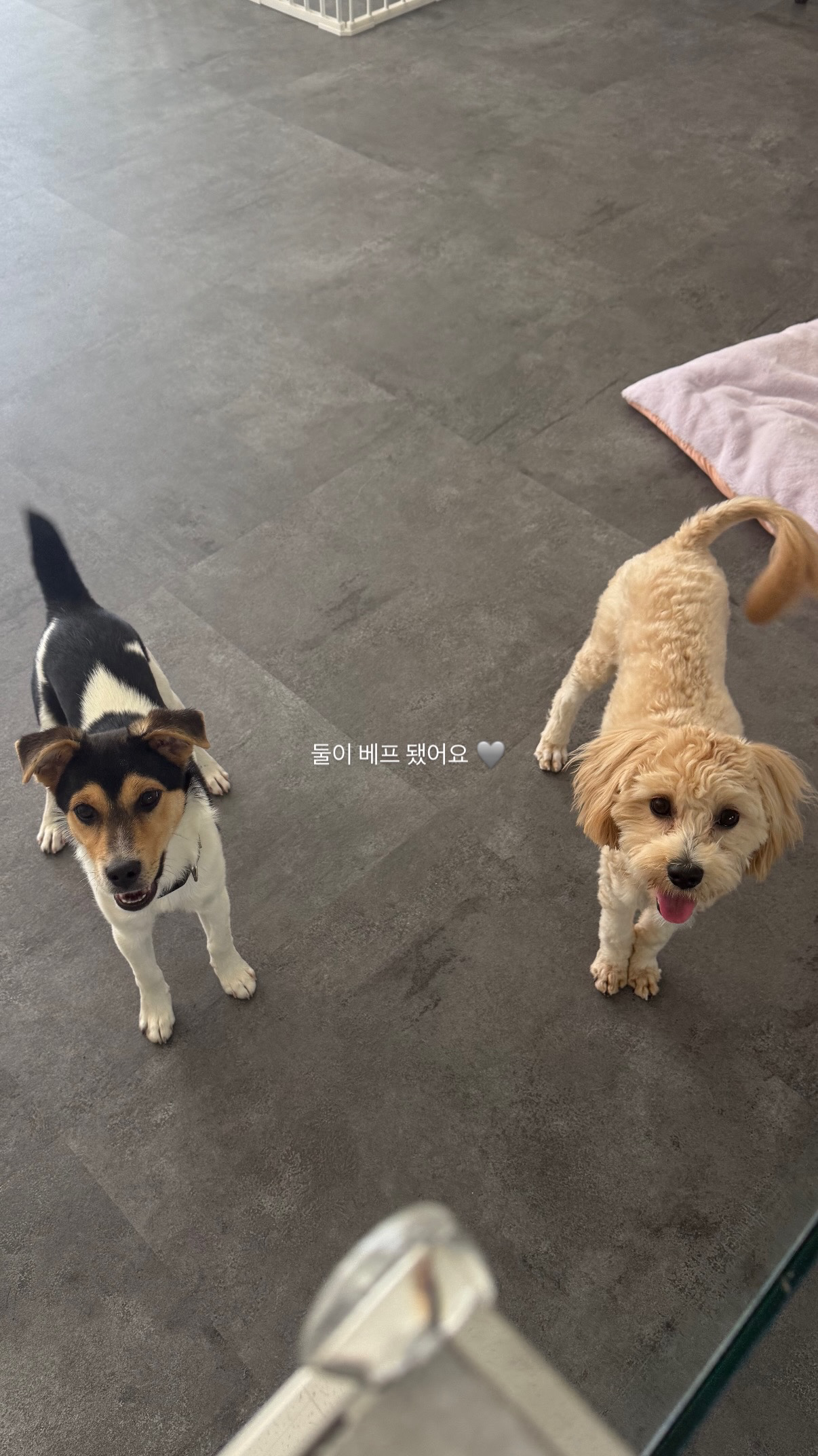 보육원내 새로운 가족을 기다리고 있는 아이들 입니다 💛