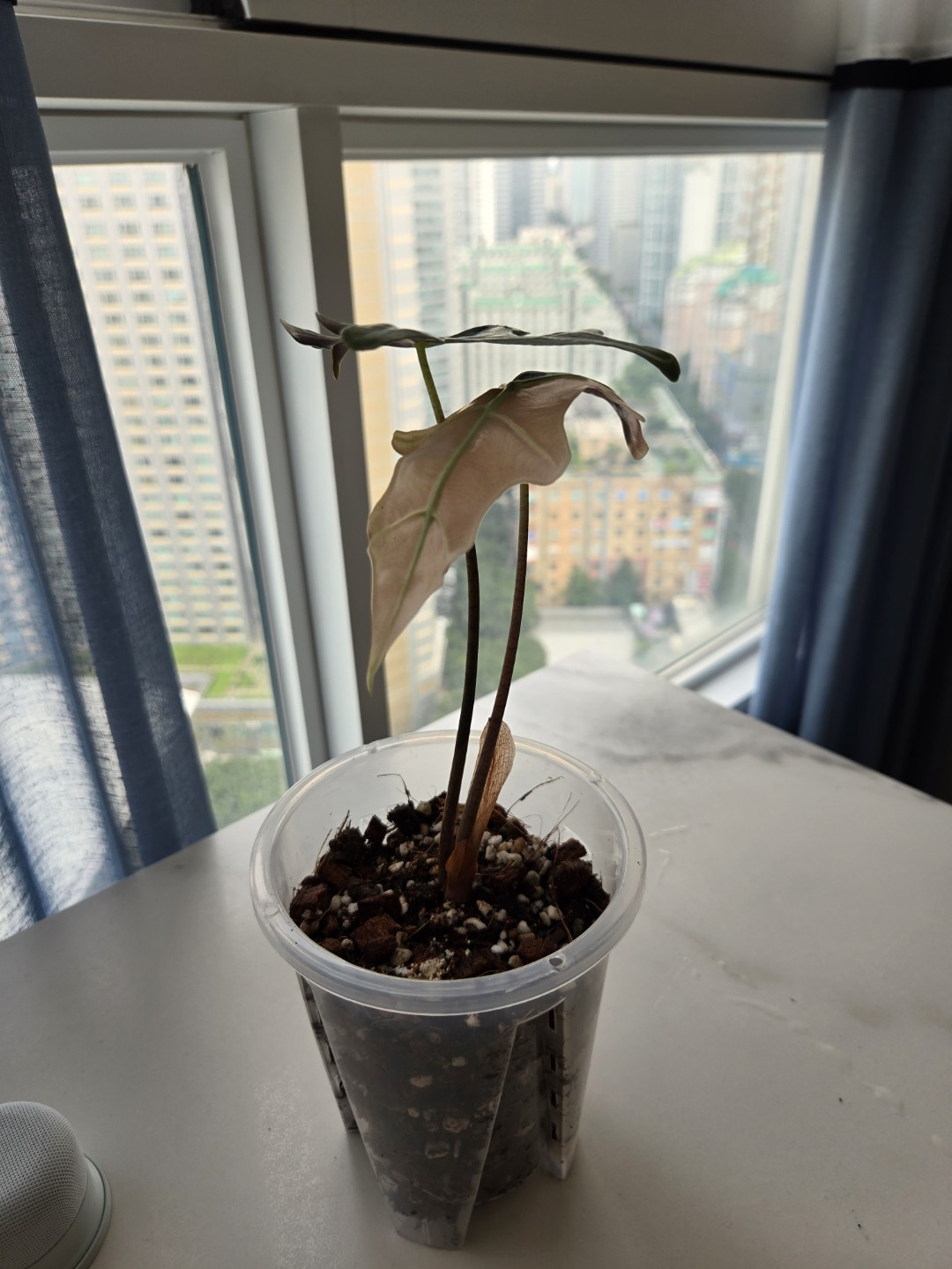 Post image 2