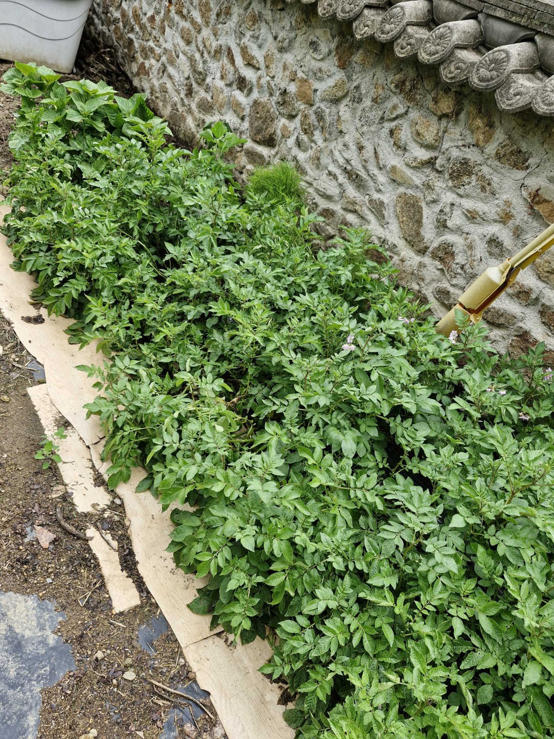 Post image 2