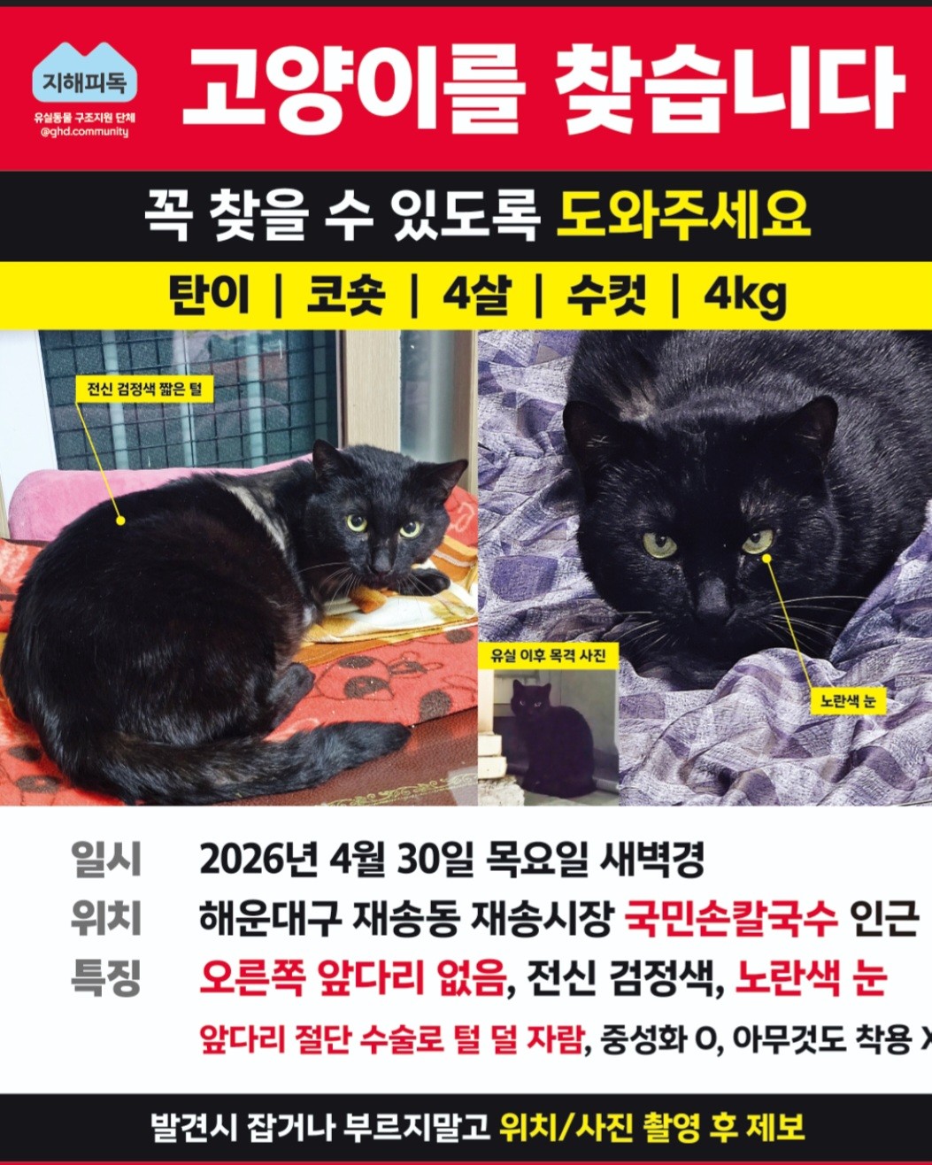 Post image 26