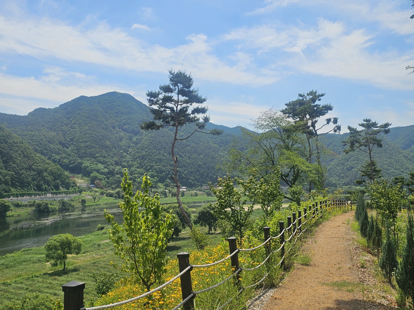 Post image 6