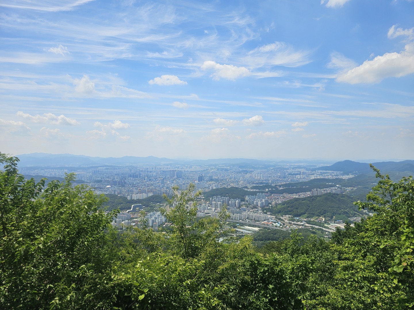Post image 7