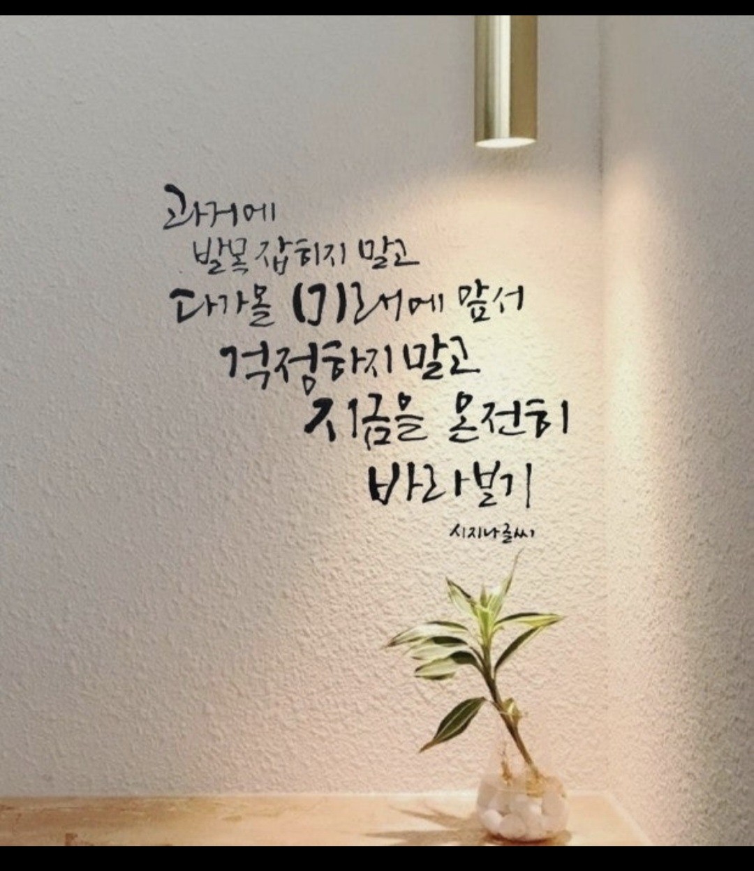 Post image 22