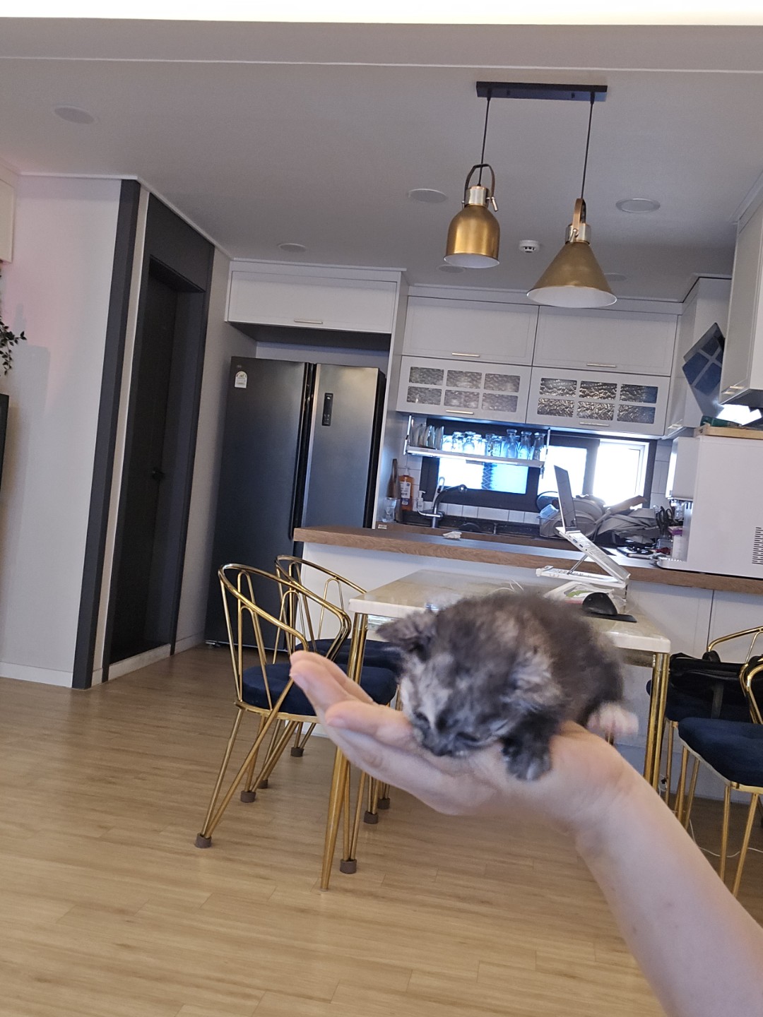 Post image 7