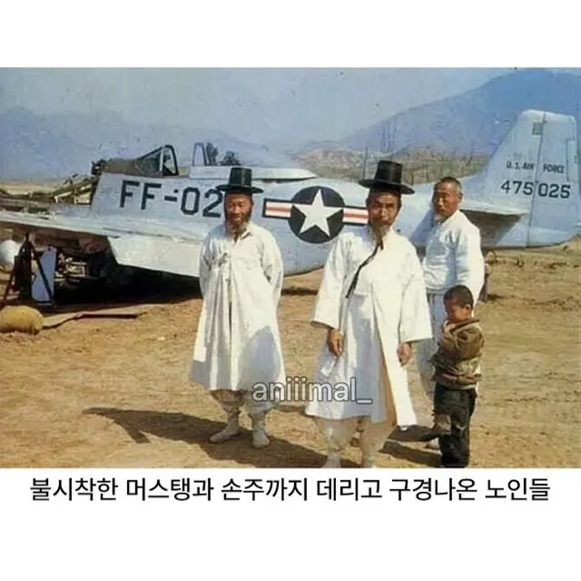 한국의 고도성장을 경험한 세대