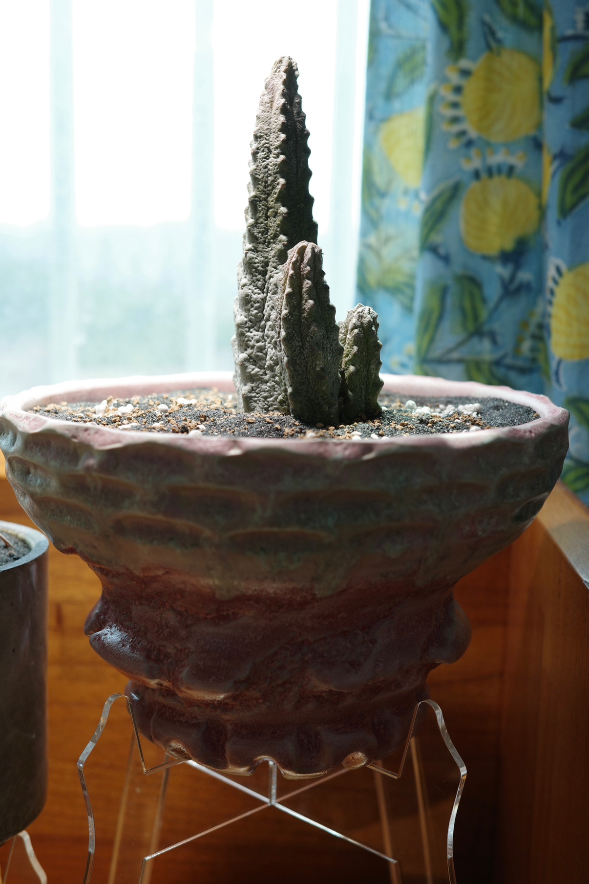 Post image 10