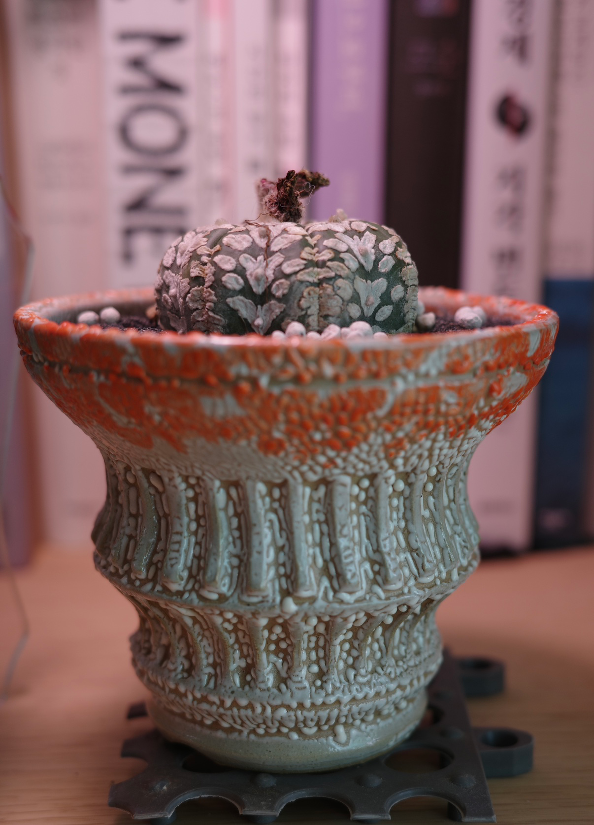 Post image 5