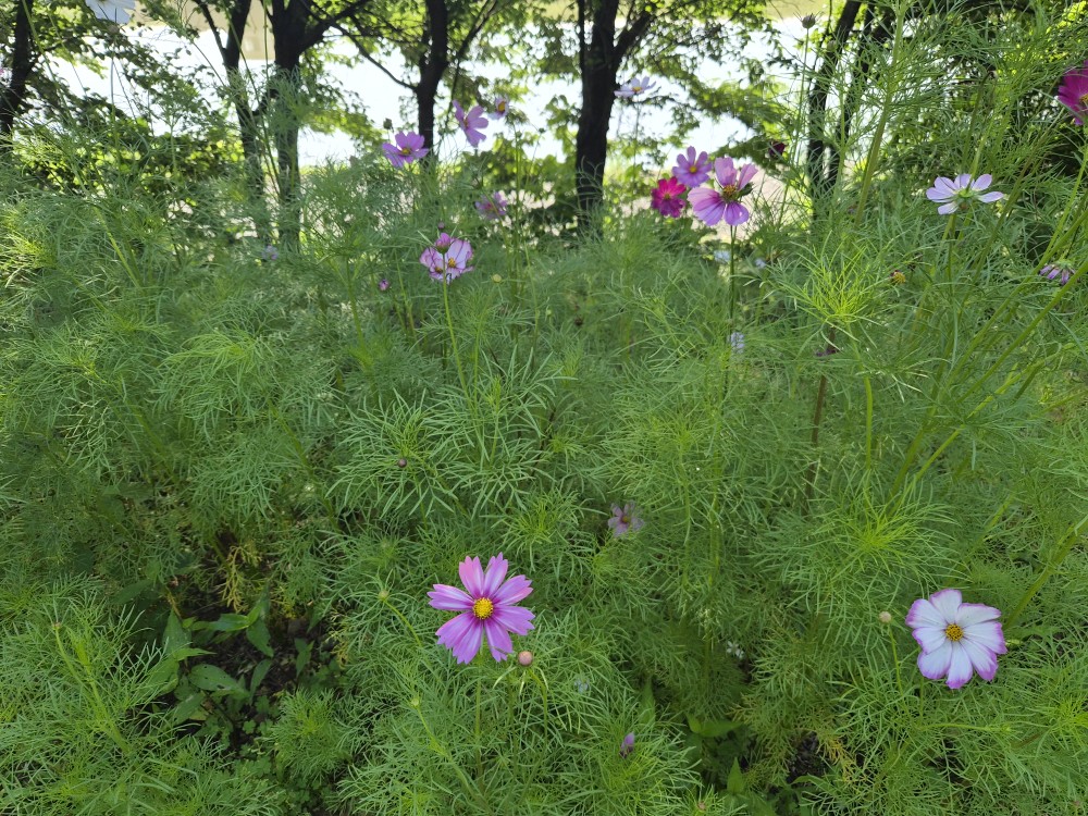 Post image 5