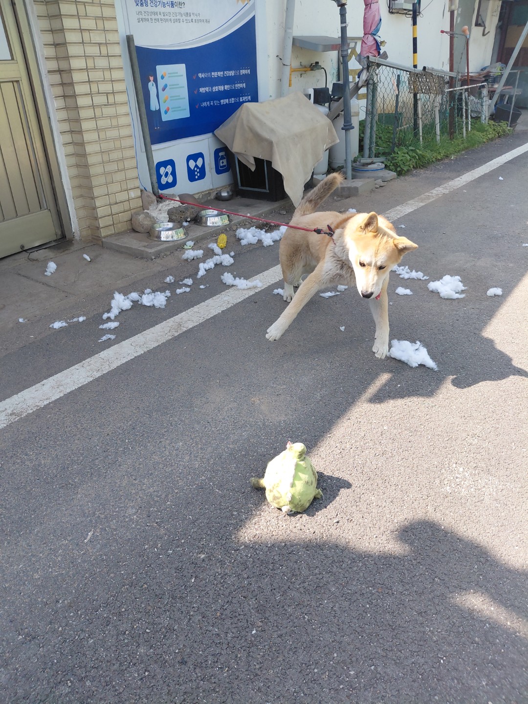 Post image 5