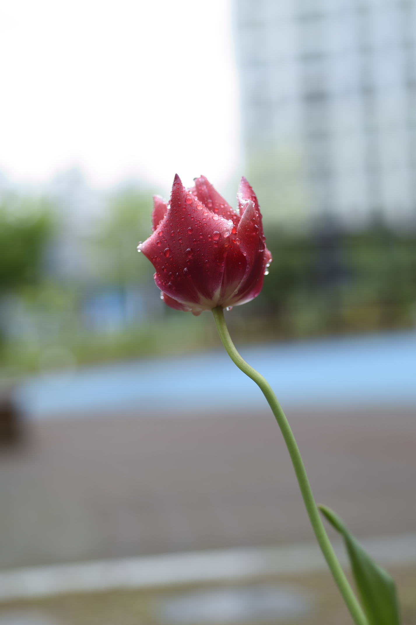 Post image 8