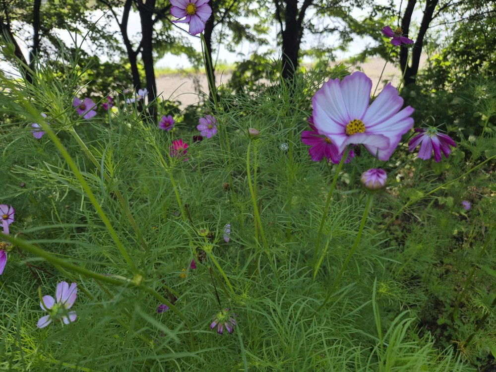 Post image 6