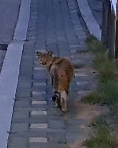 Post image 1