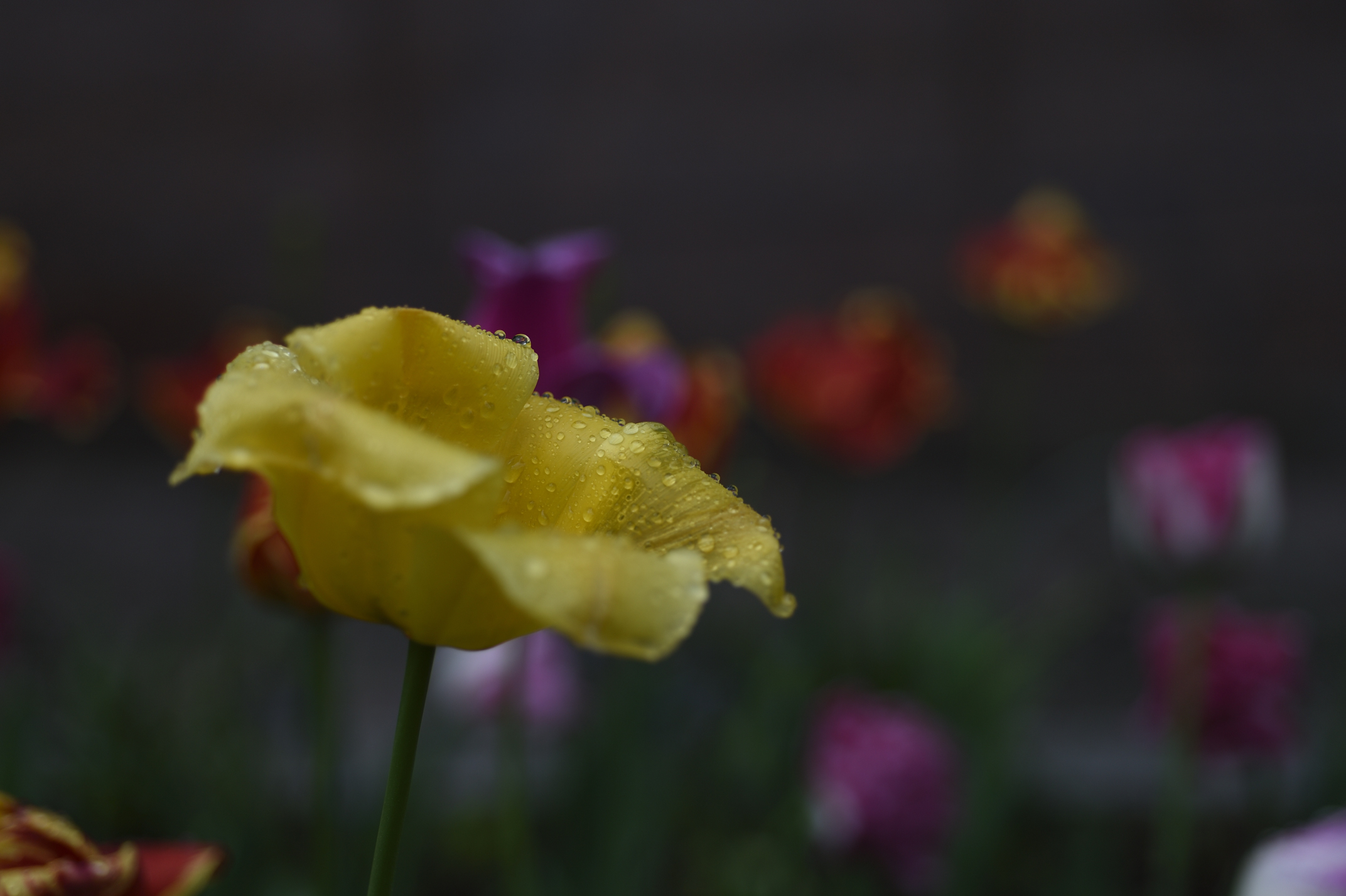 Post image 6