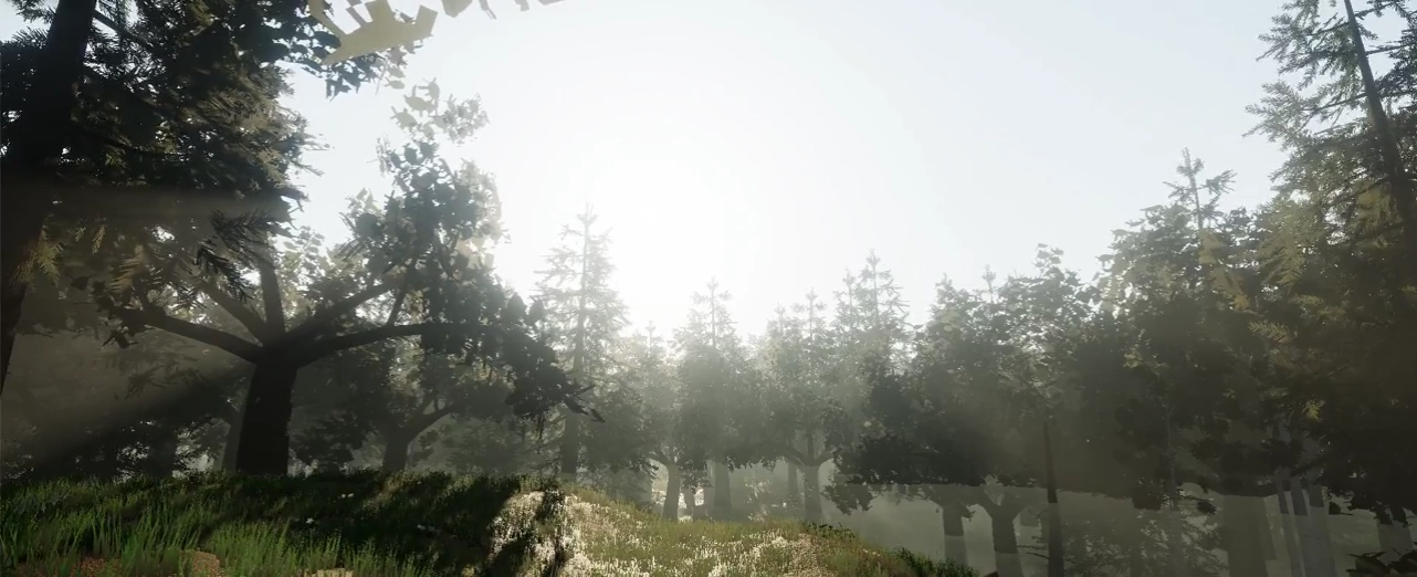 Fable5는 3D영상도 거뜬하네요