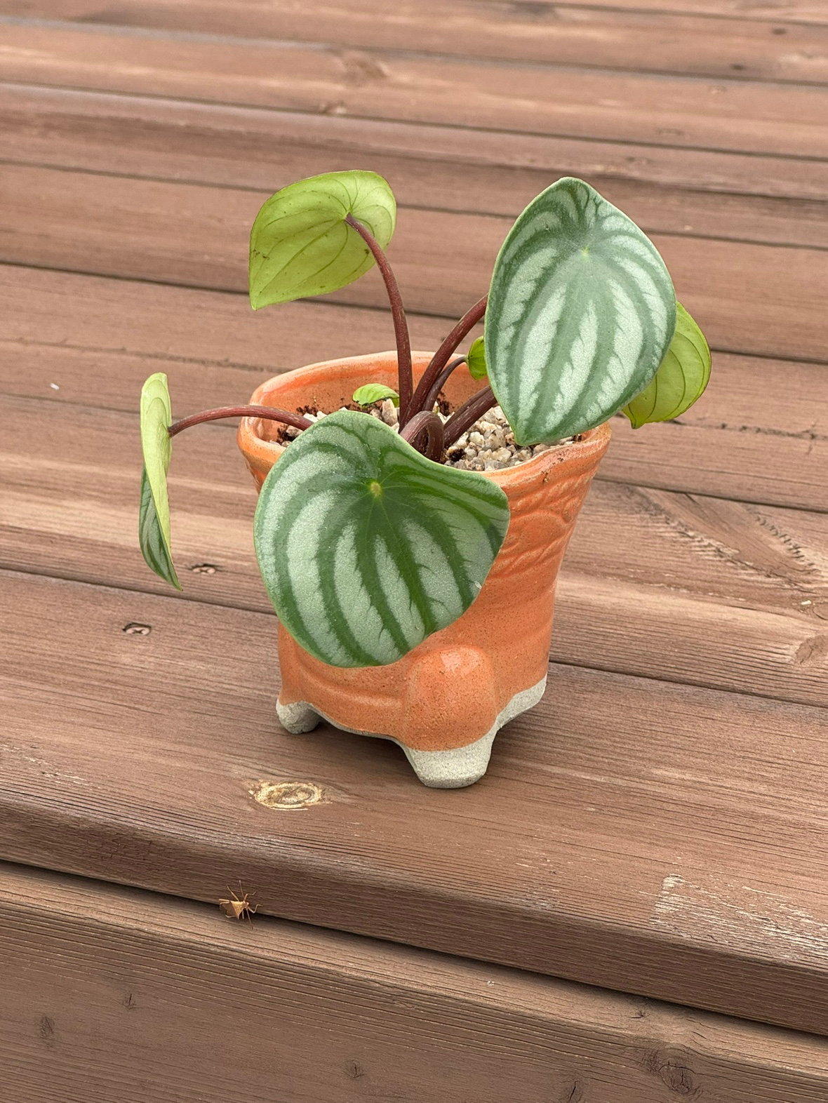 Post image 2