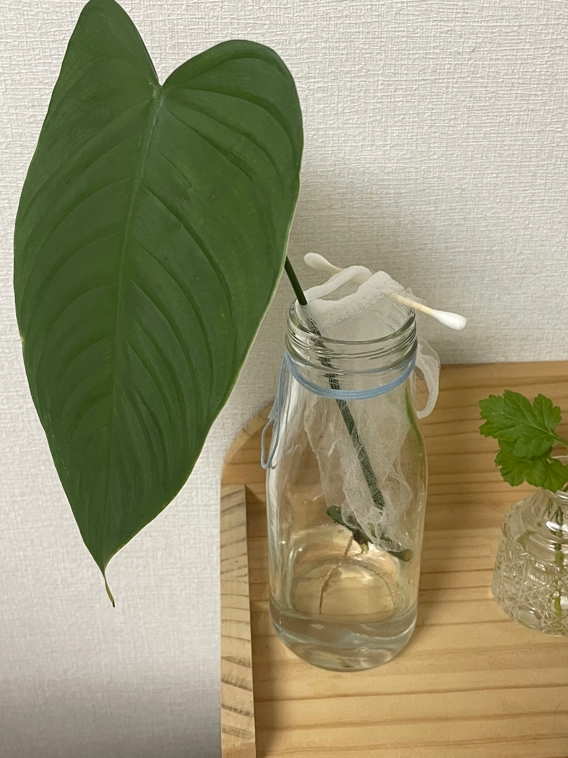 Post image 10