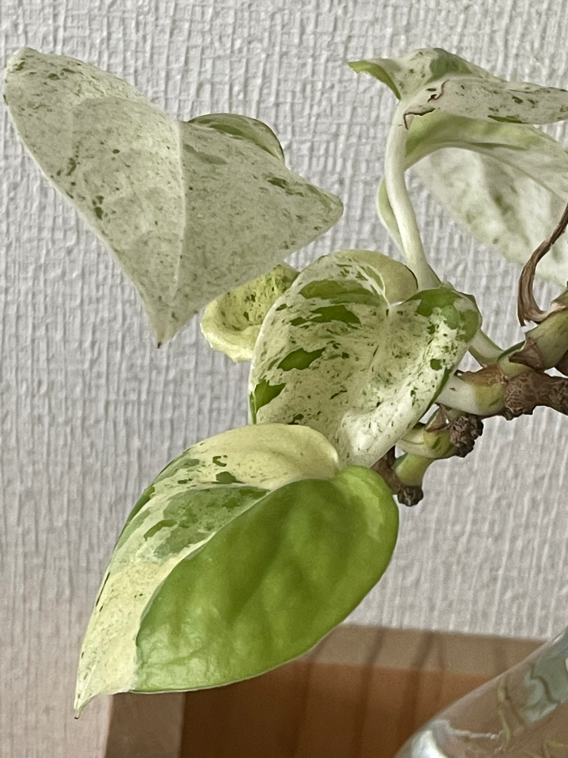 Post image 22