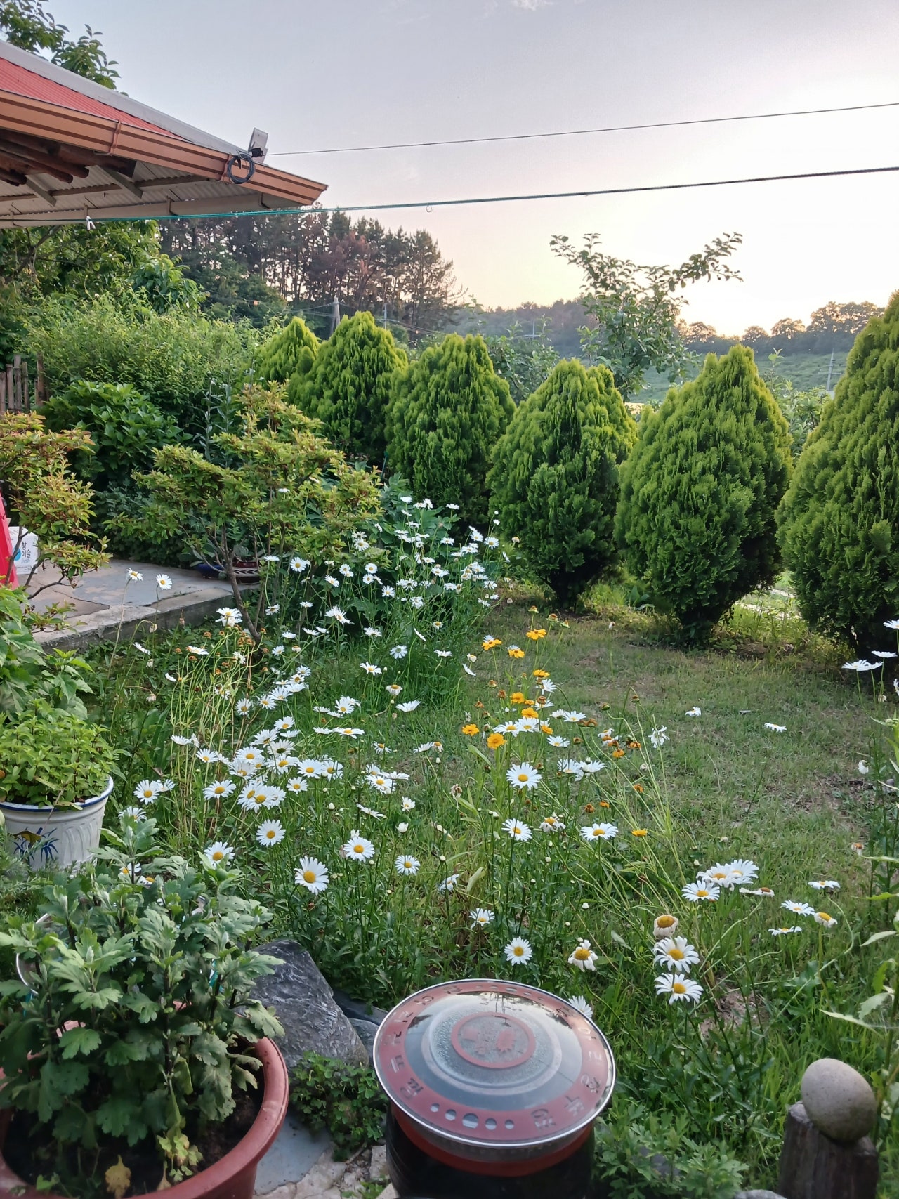 Post image 19