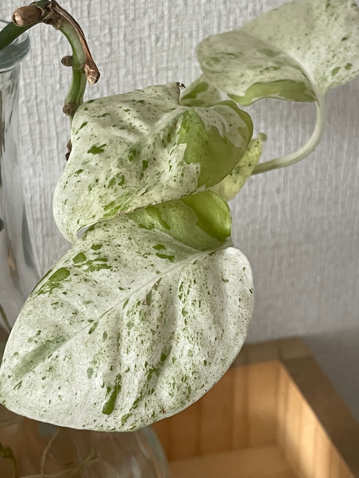 Post image 21