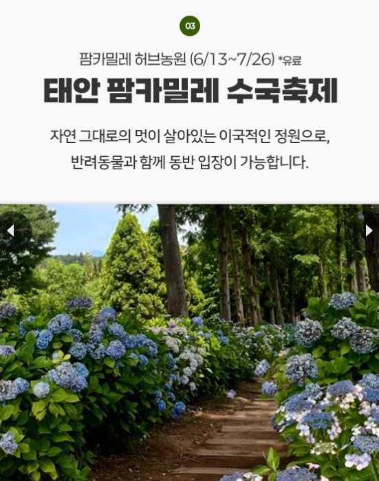 Post image 7