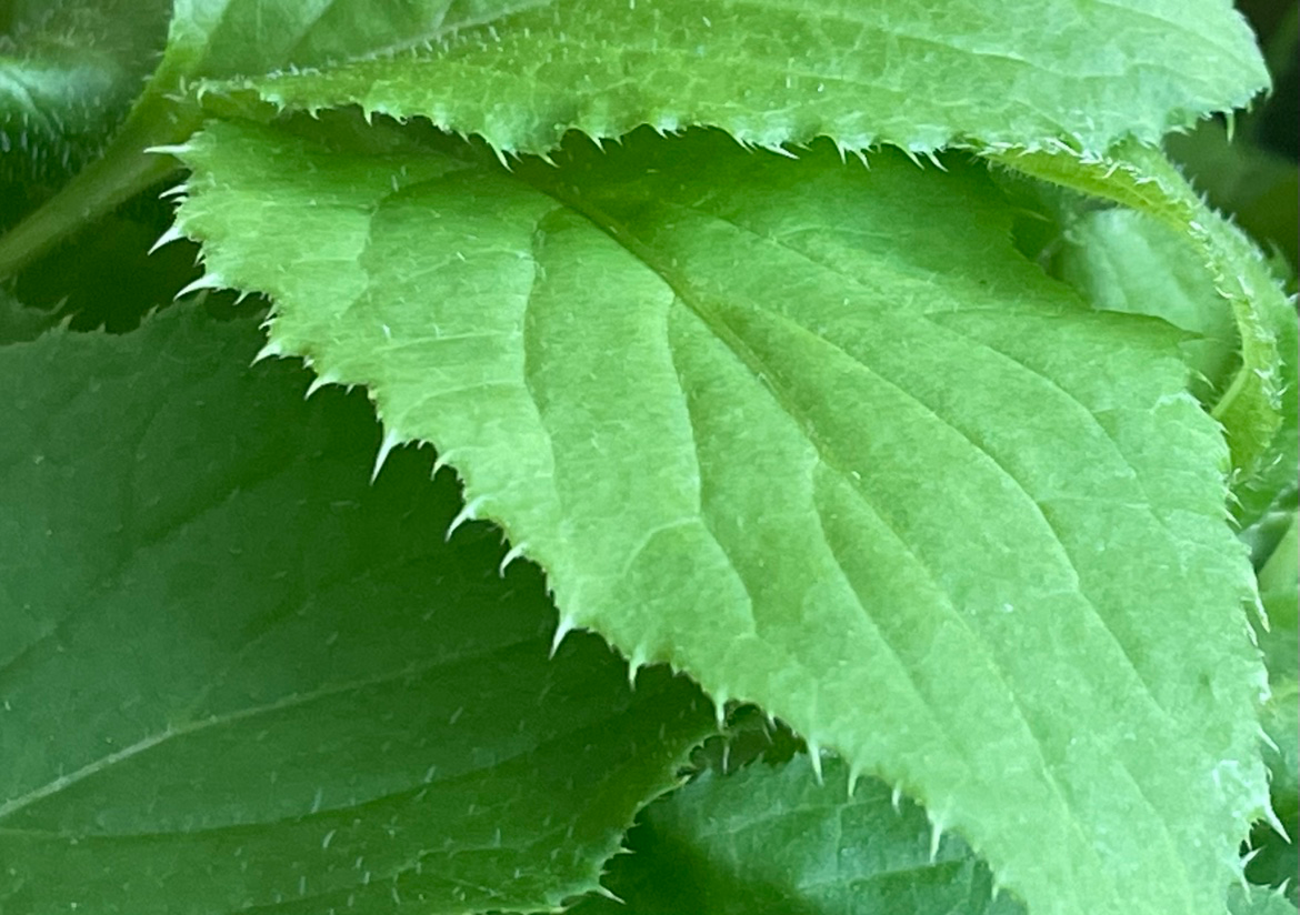 Post image 14