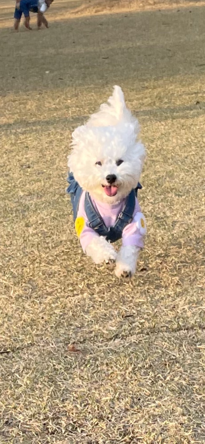 안녕하세요 제리 인사드려용
