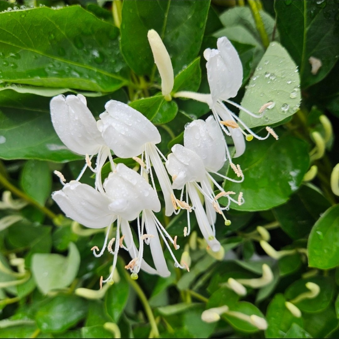 Post image 2