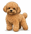 Post image 11