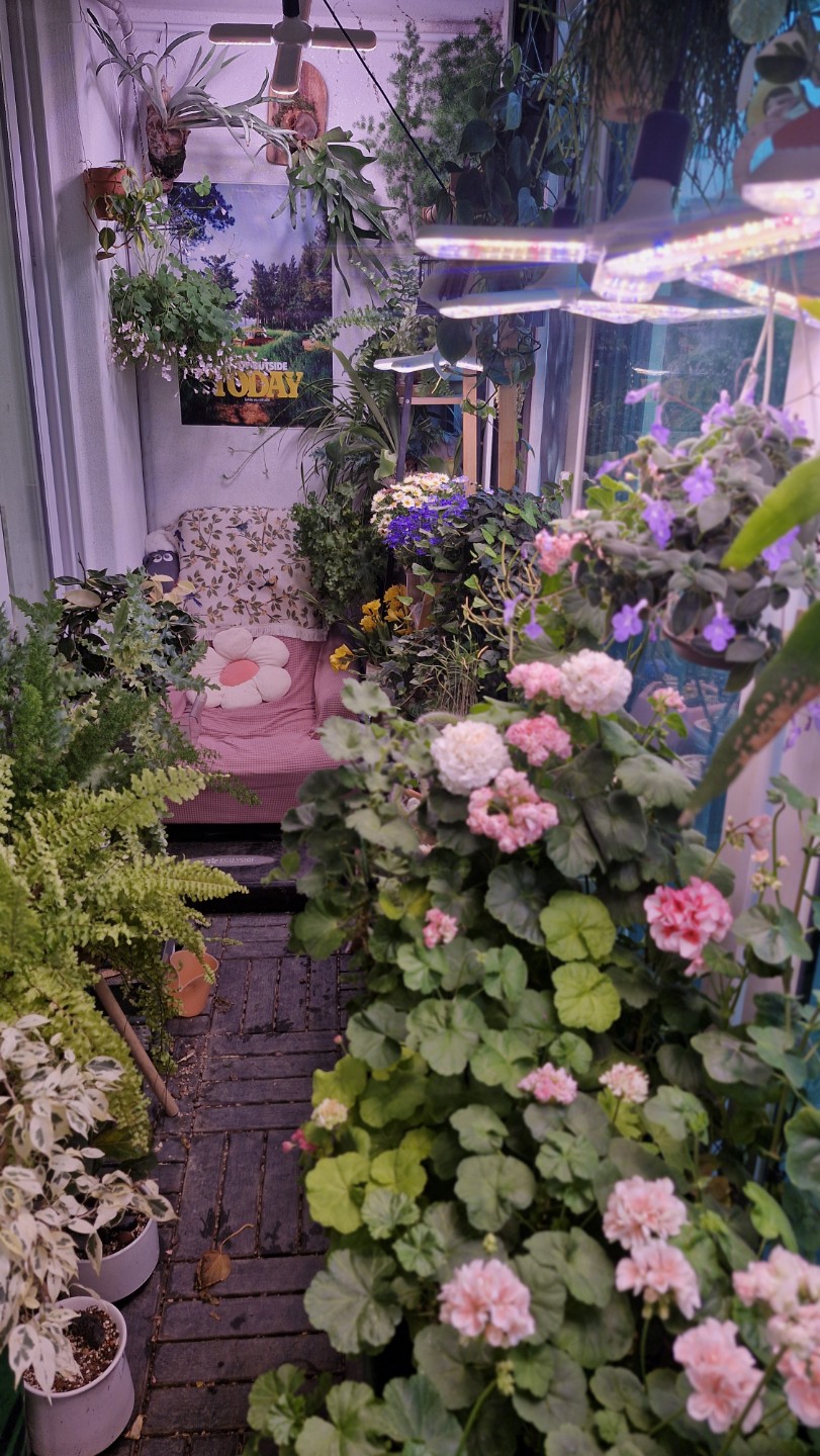 Post image 1