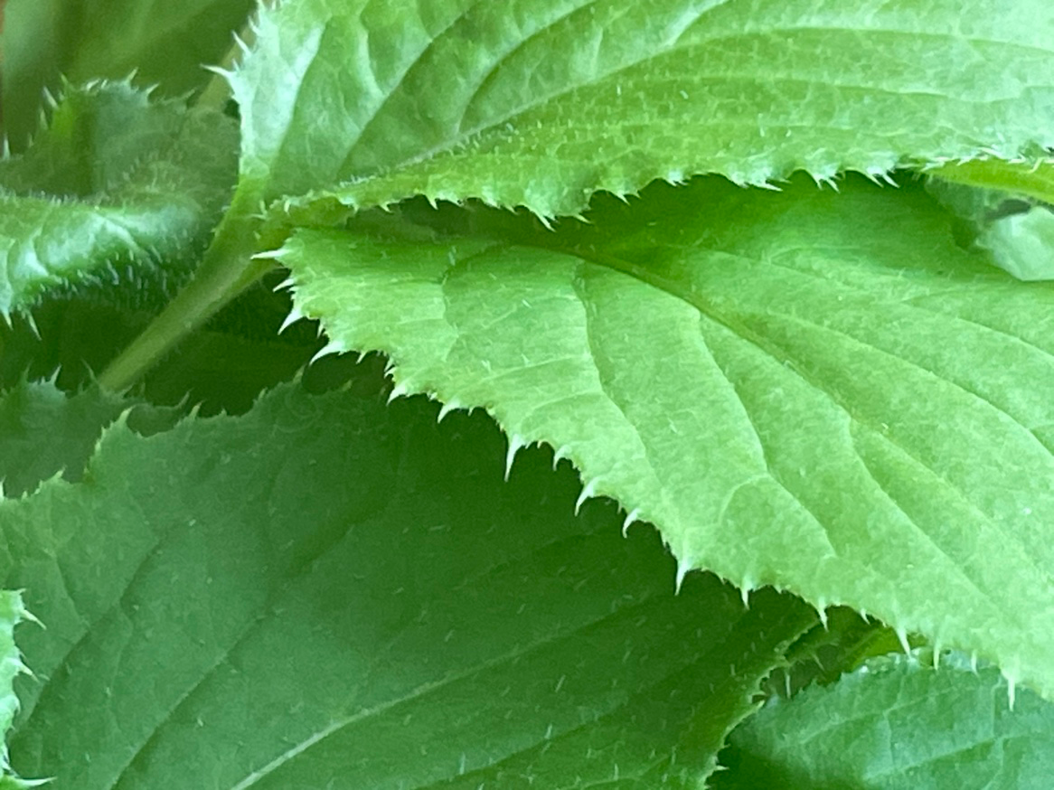 Post image 15