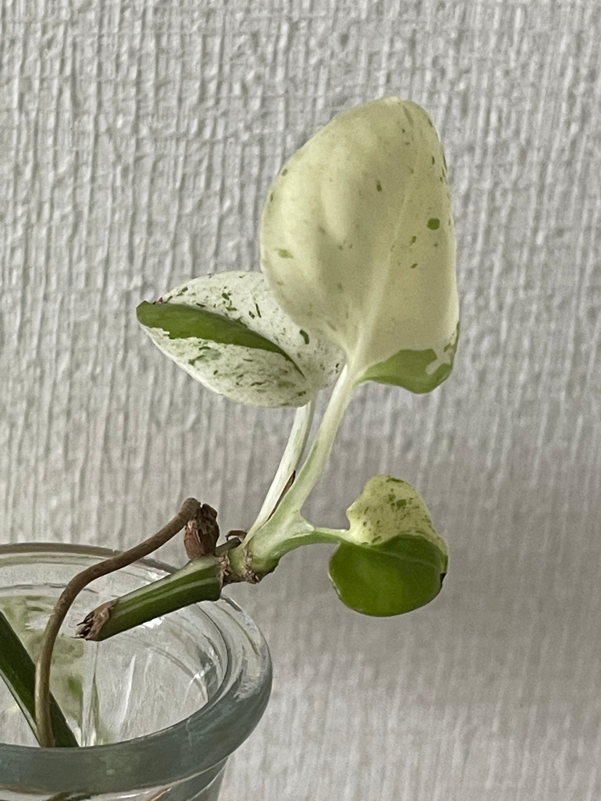 Post image 24
