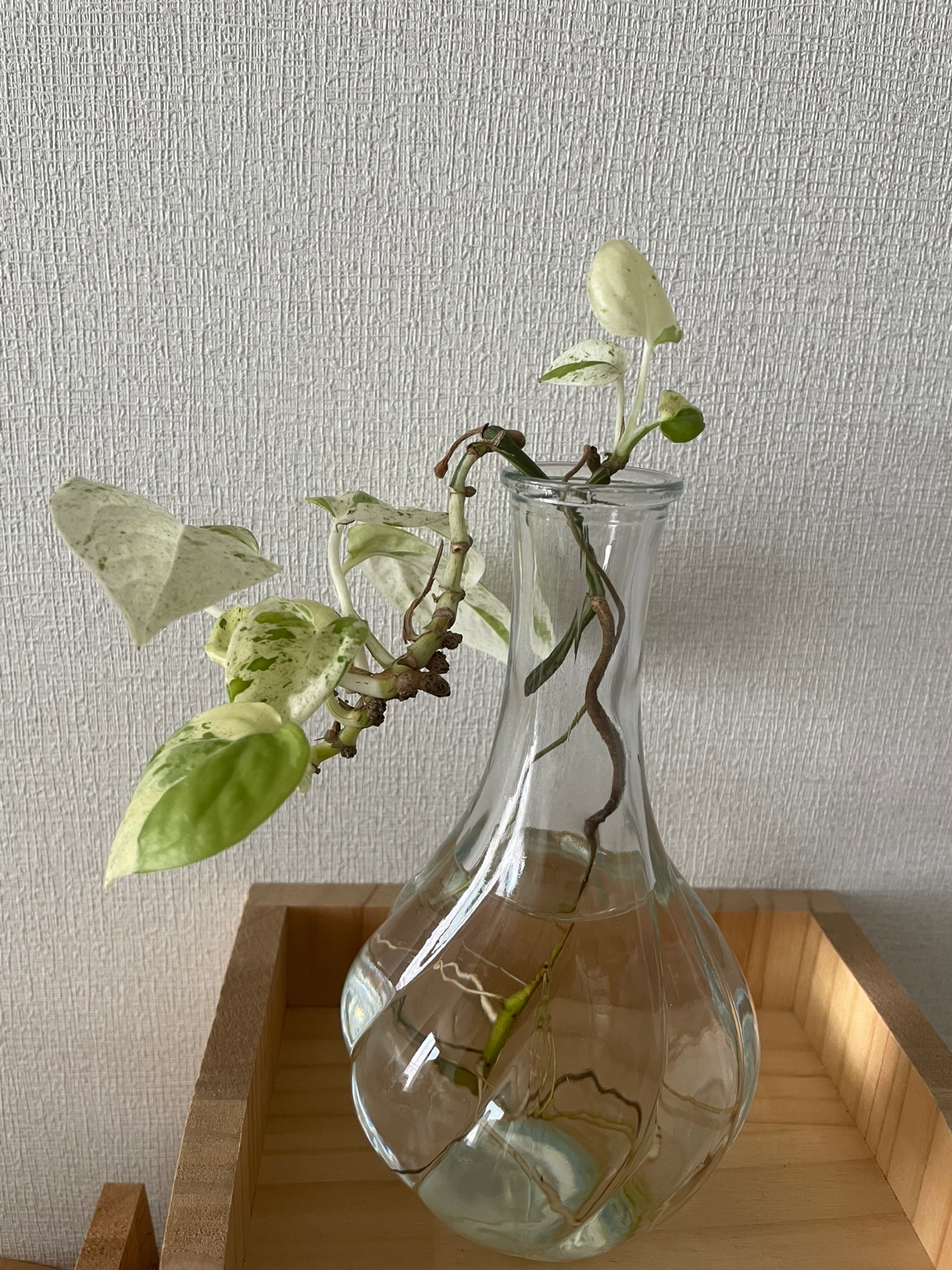 Post image 25