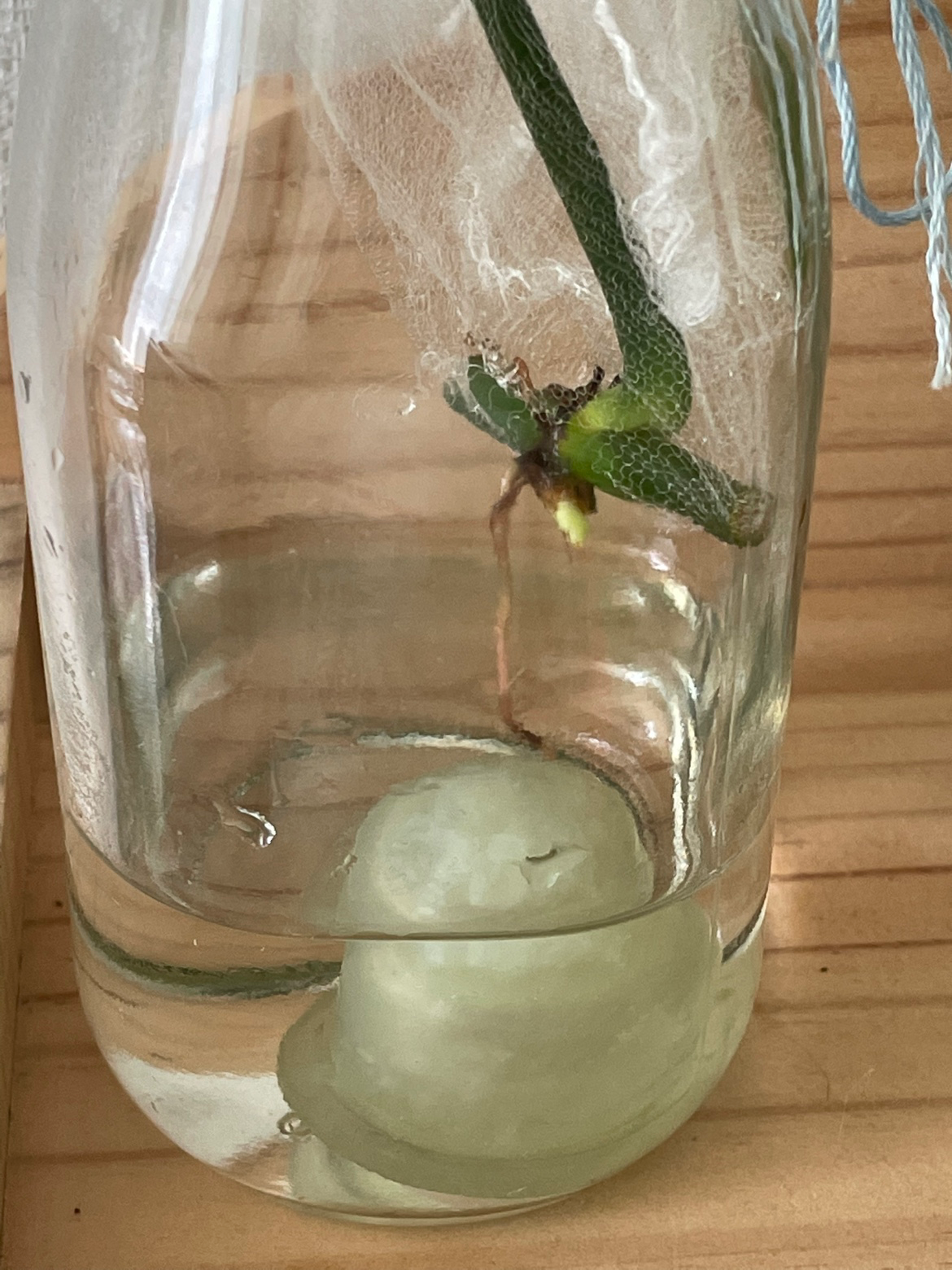 Post image 18