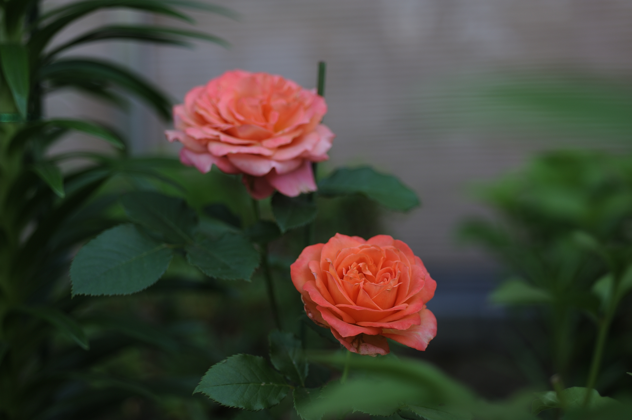 Post image 4