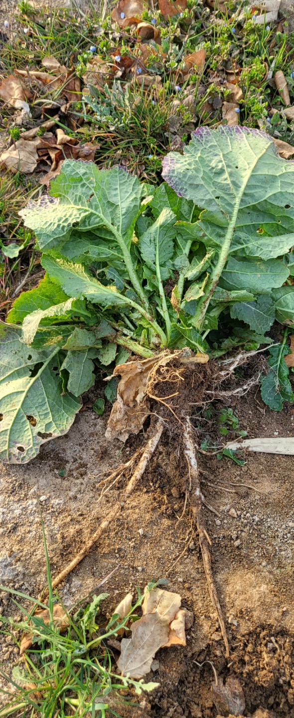 Post image 2