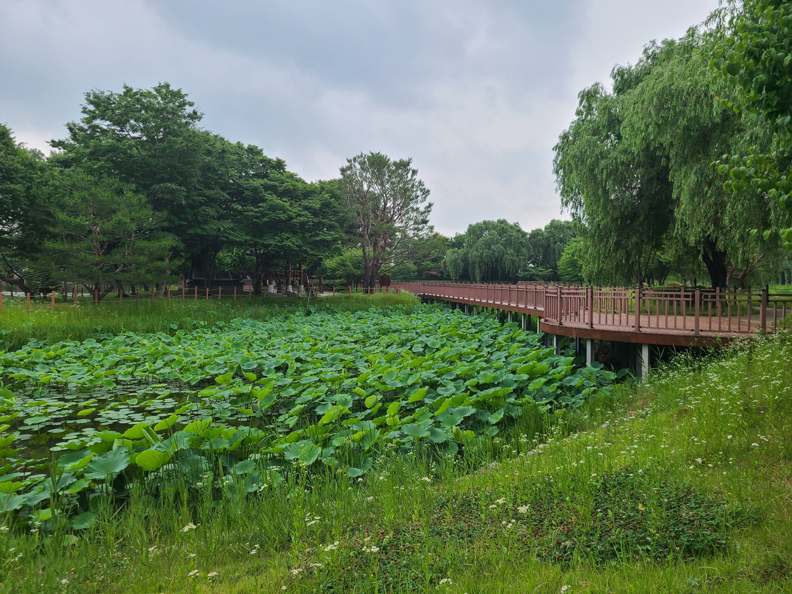 주말에 가볍게 걷기 좋은 평택 소풍정원